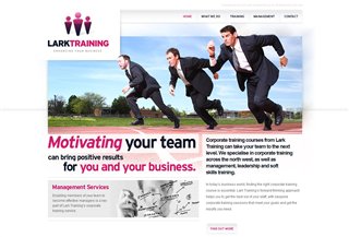 Lark training Mārketings:Marketing