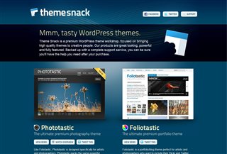 Theme Snack Blogi:Blogging